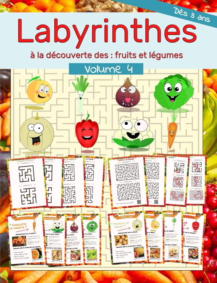 une image de présentation du recto du livre contenant les fruits et légumes ainsi que les labyrinthes